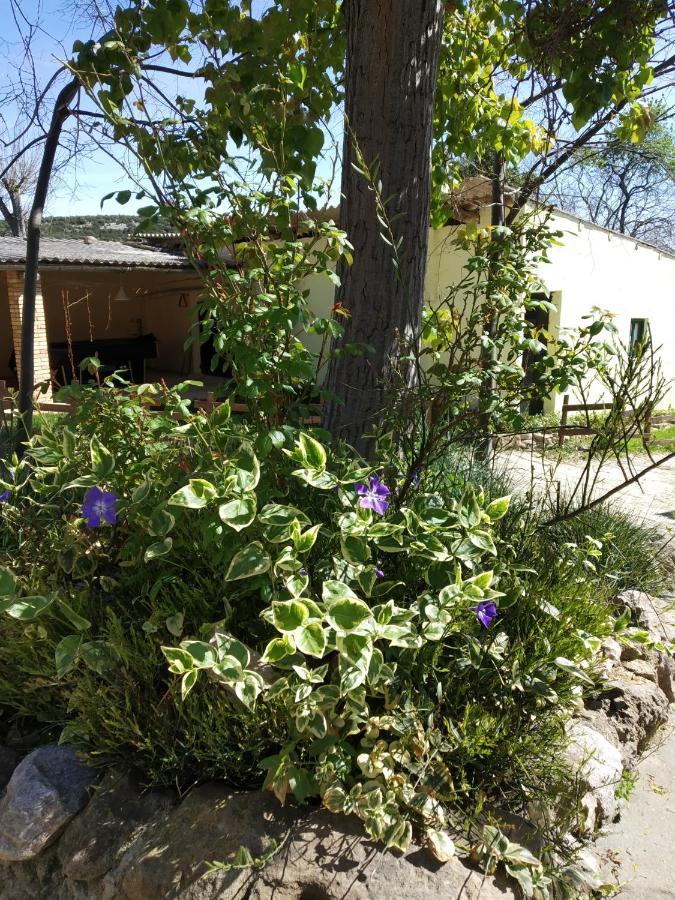Camping Yaso-Guara Kültér fotó